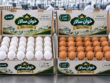 بيض مائدة إيراني طازج للبيع بالجملة في البصرة – وزن 55 إلى 60 غرامًا – أسعار اقتصادية