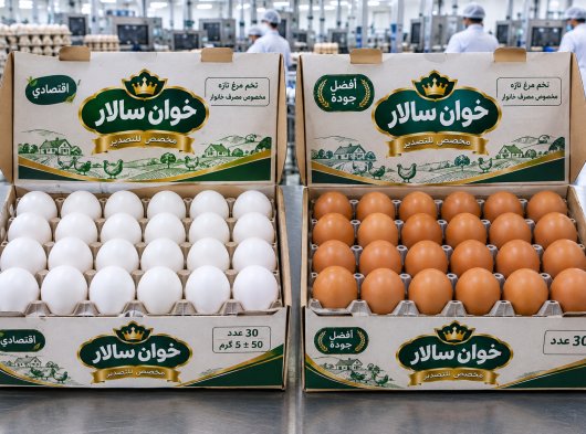 بيض مائدة إيراني طازج للبيع بالجملة في البصرة – وزن 55 إلى 60 غرامًا – أسعار اقتصادية